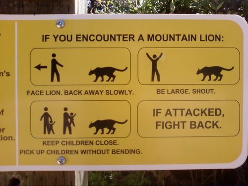 Mountain Lion Safety. Check out the detail on the top-right human.