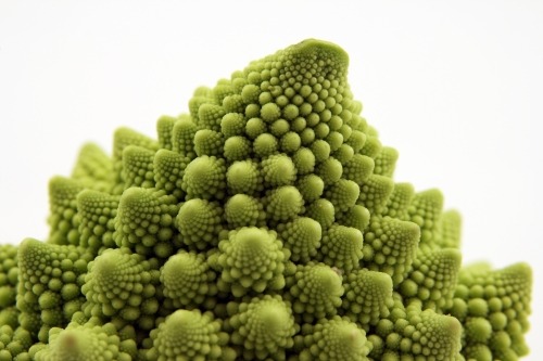Recursively defined cabbage and other fractal foods make me grin.