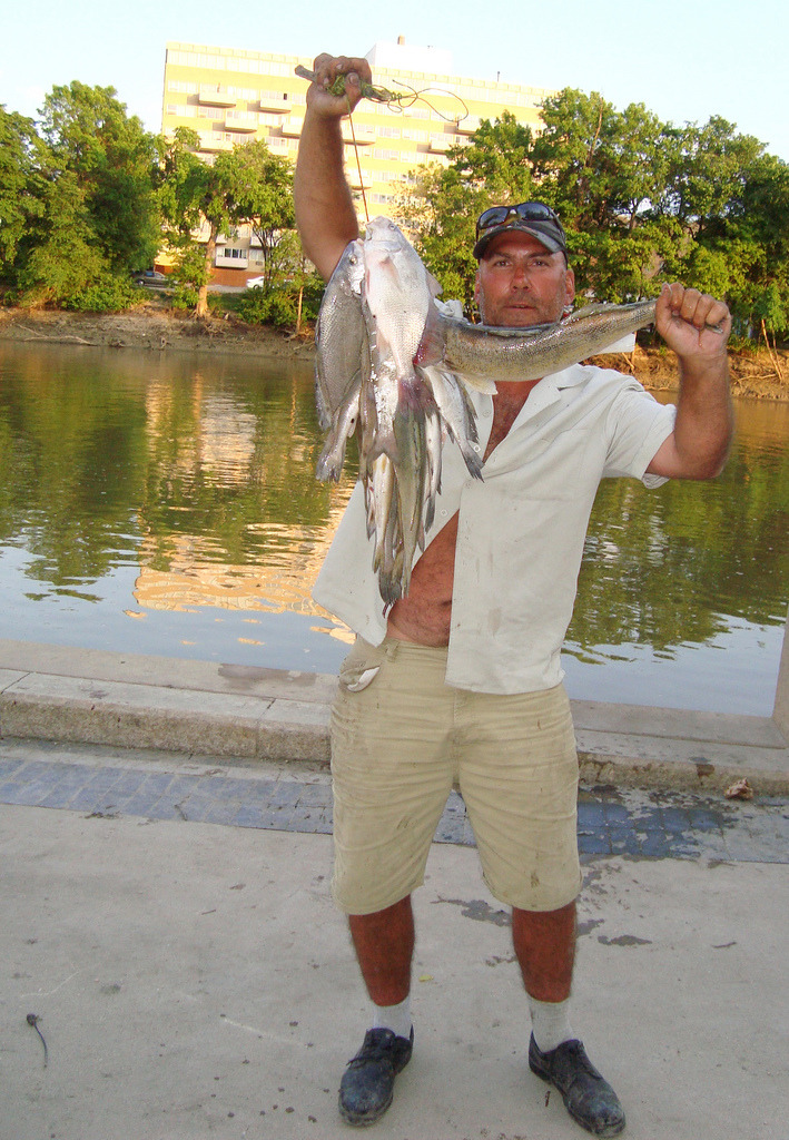 Shan and I met this happy angler by the Assiniboine river on Friday night. In 2006/2007 I emailed various levels of government to see if it was safe to eat fish caught in our Winnipeg river systems. Also: Assiniboine River Water Quality Study 2001/2002 - Water Quality Mgmt Section, Manitoba Conservation pdf Related: More Photos - Early Summer 2009 (Flickr Set)