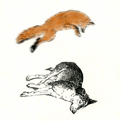 Quick! My first animated gif remix. :P Source image from Lauren Nassefs A Drawing A Day: via