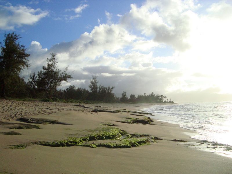 From our Vacation to Oahu, Hawaii last month. See more