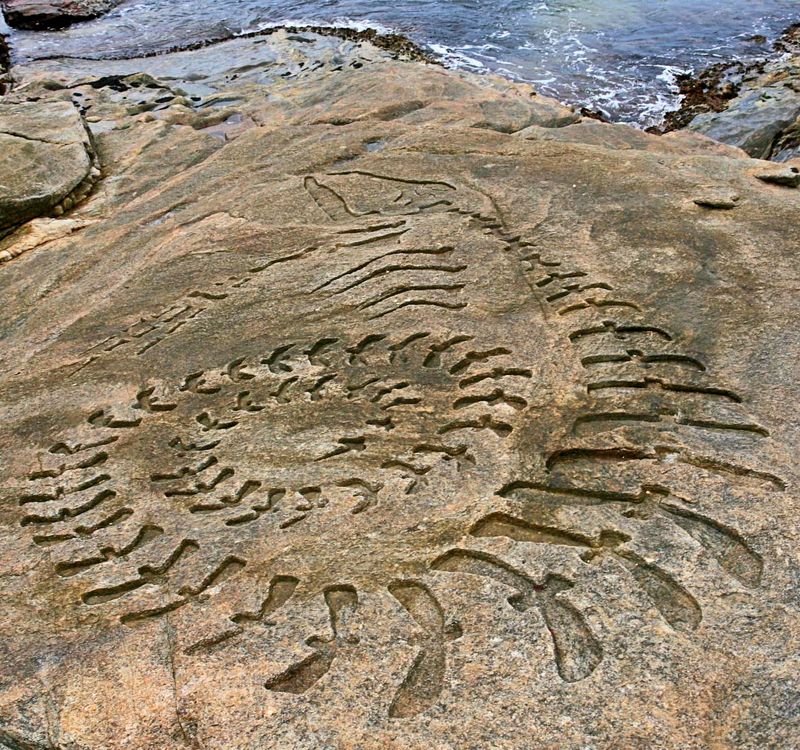 Modern Day Petroglyph Some background info: Translated from Portuguese