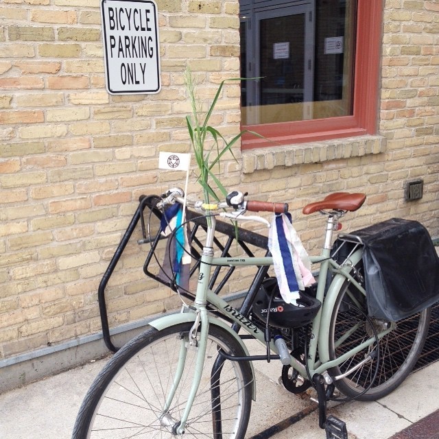 Bike To Work Day Winnipeg Fancy bike thanks to the Natural Cycle pit stop at Omands creek.
