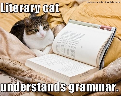 Literarycat
